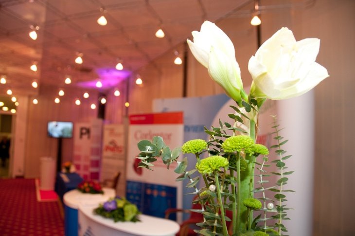 CroEcho 2011.