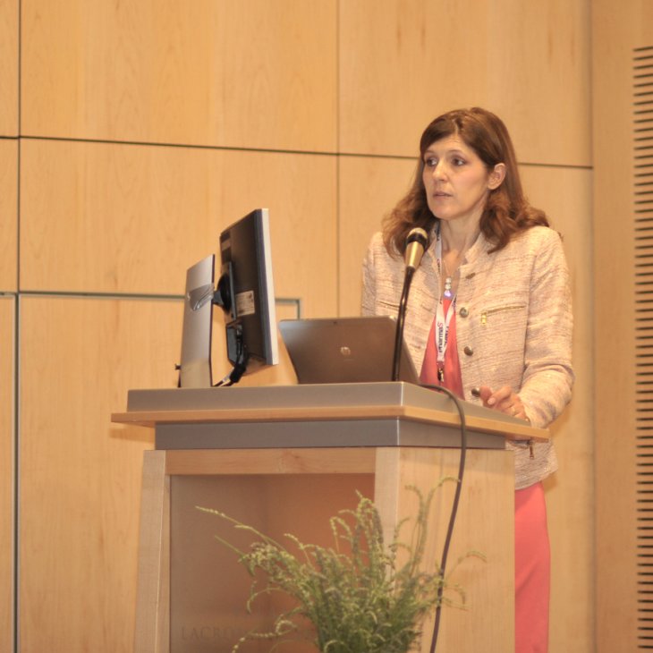 CroEcho 2013.